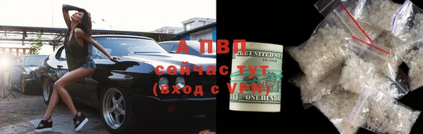 шишки Волоколамск